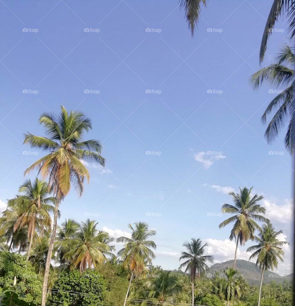 Editor choices me like