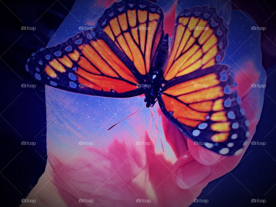 Fuzzy Monarch (galaxy edit)