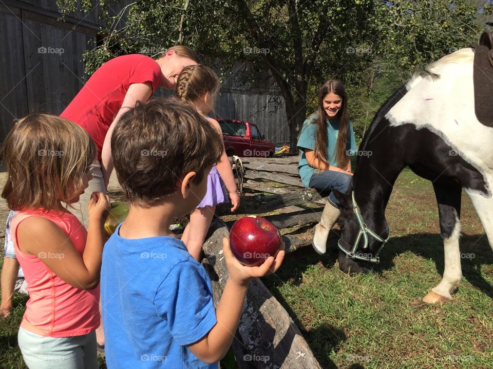Feeding a Horse an Apple