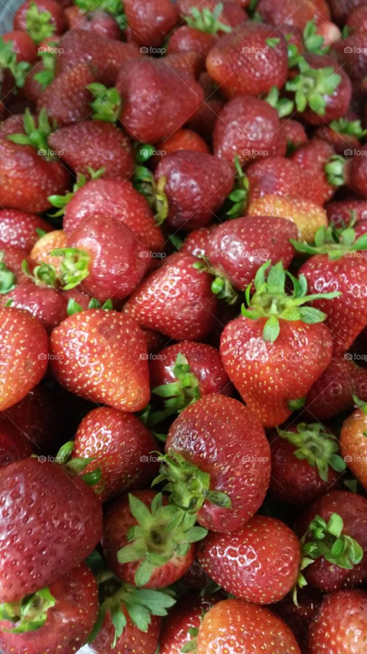 strawberries. alots strawberries