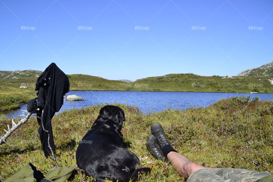 Person camping with dog at mountain