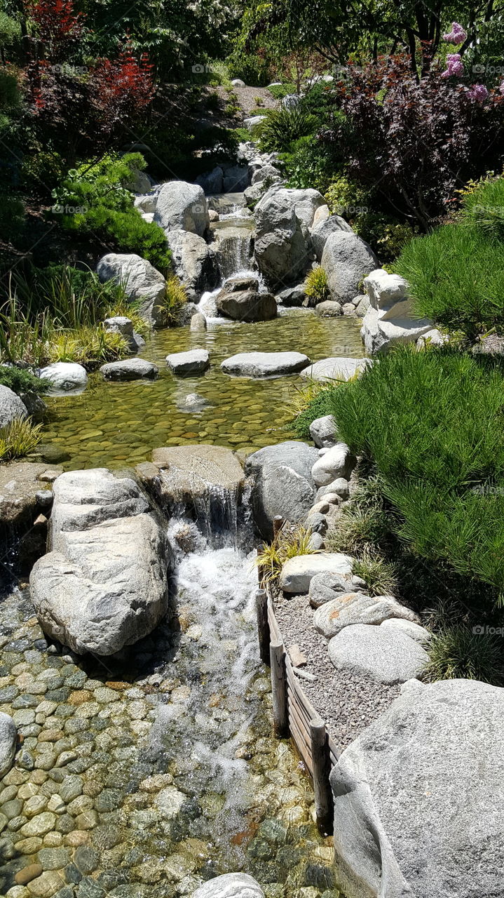 waterfall and stream