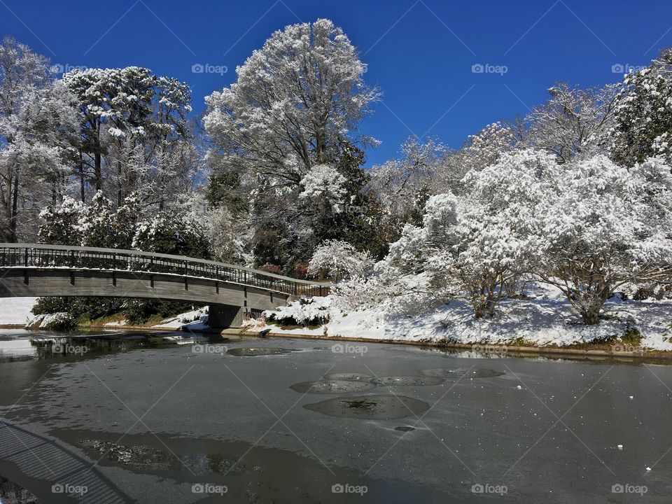Snowy scene at Pullen Park in Raleigh, NC. 