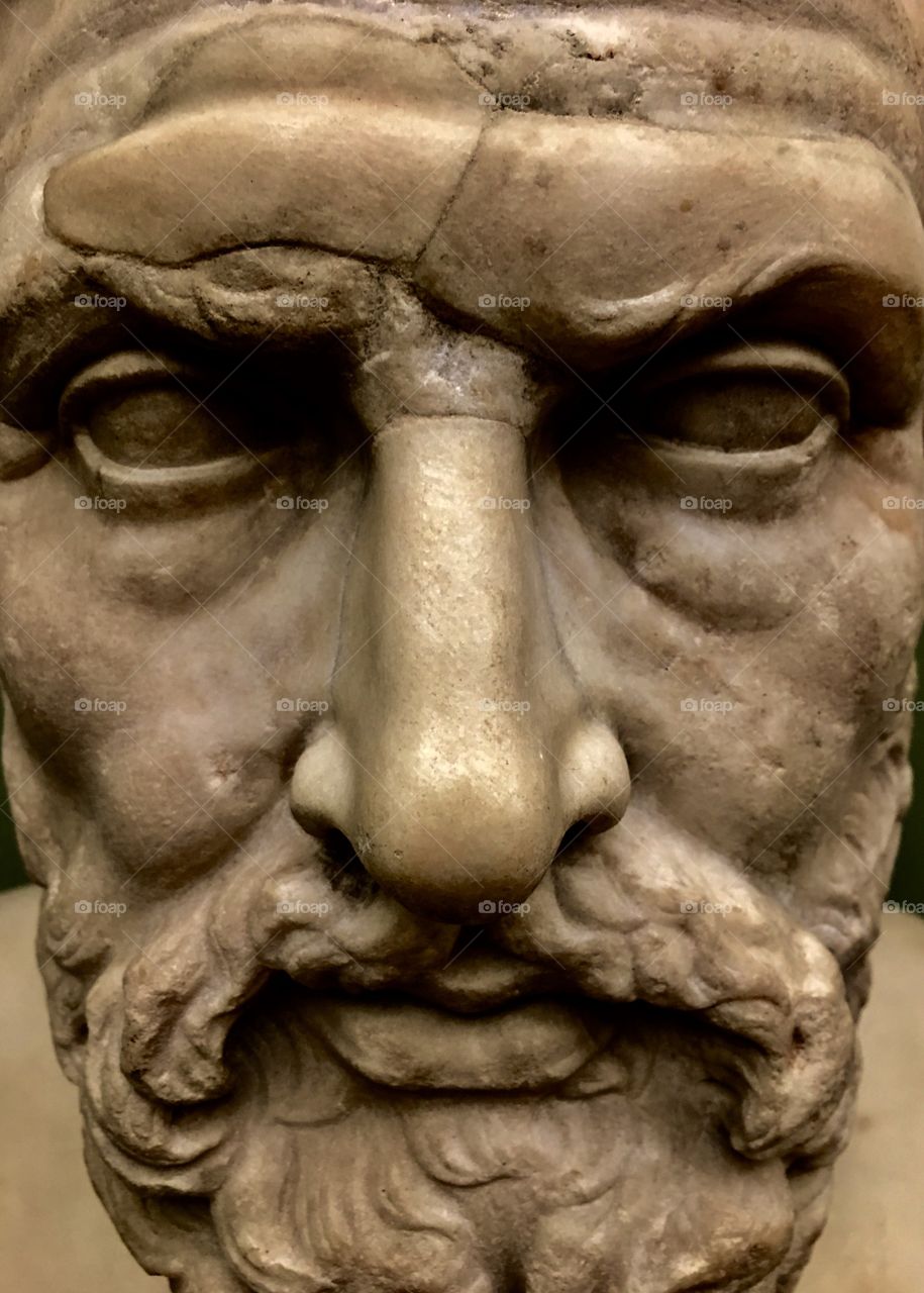 The face of a Roman general set in stone. Marble to be exact. Immortalized forever in the stone, only to be placed in a museum and his greatness forgotten. 