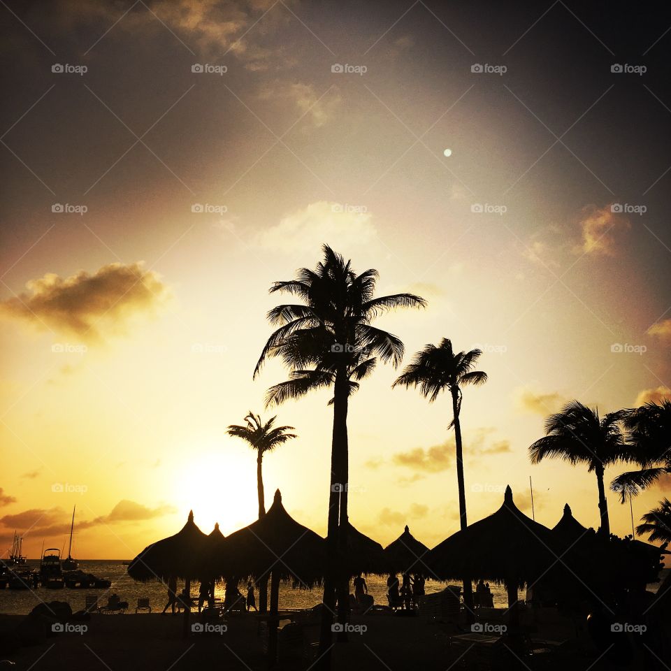 Sunset, Palm, Beach, Sun, Dawn