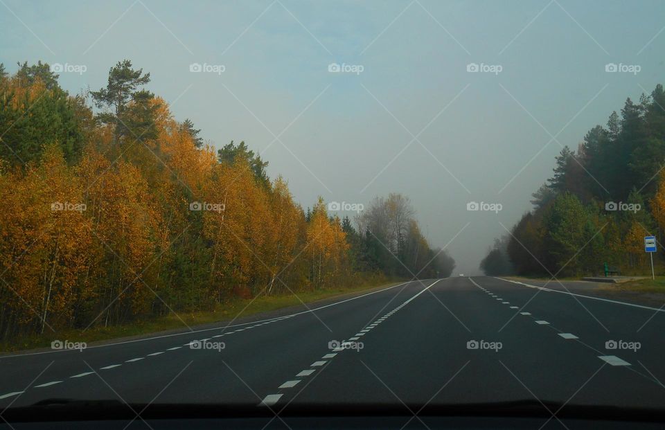 road trip window car view