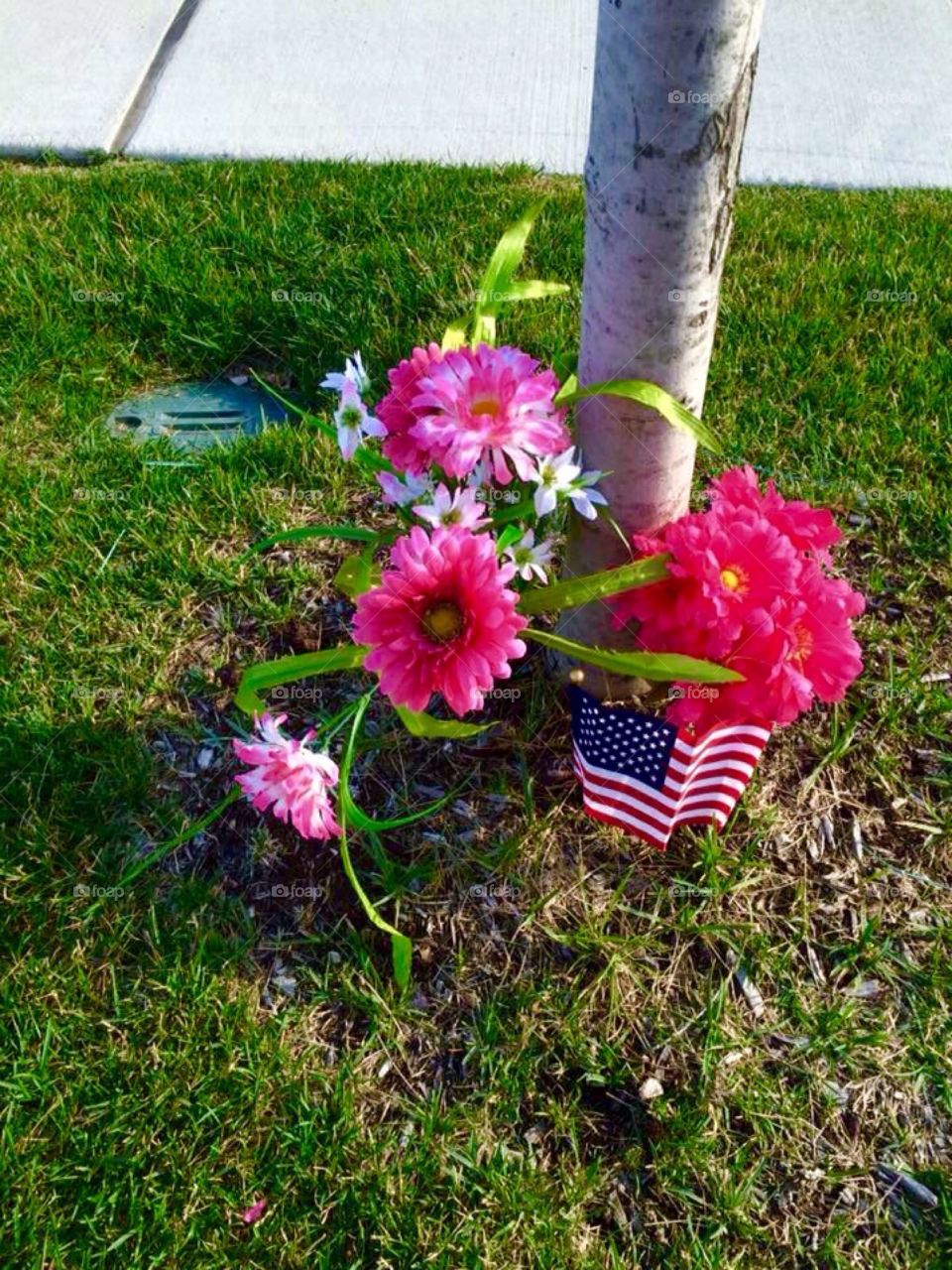 Flowers and flag by Mom's tree