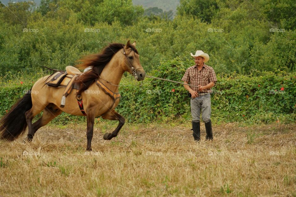 Cowboy With His Horse