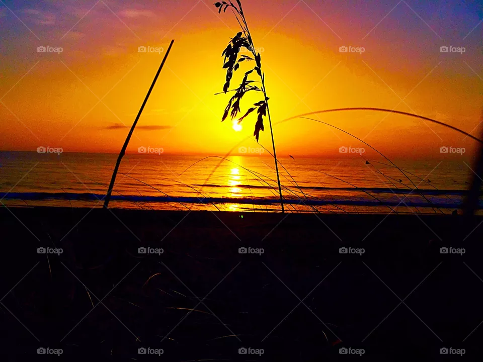 Sunrise