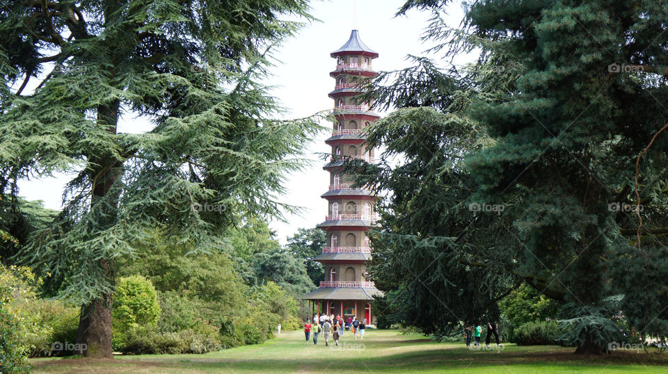 chinese trees building sene by angeljack