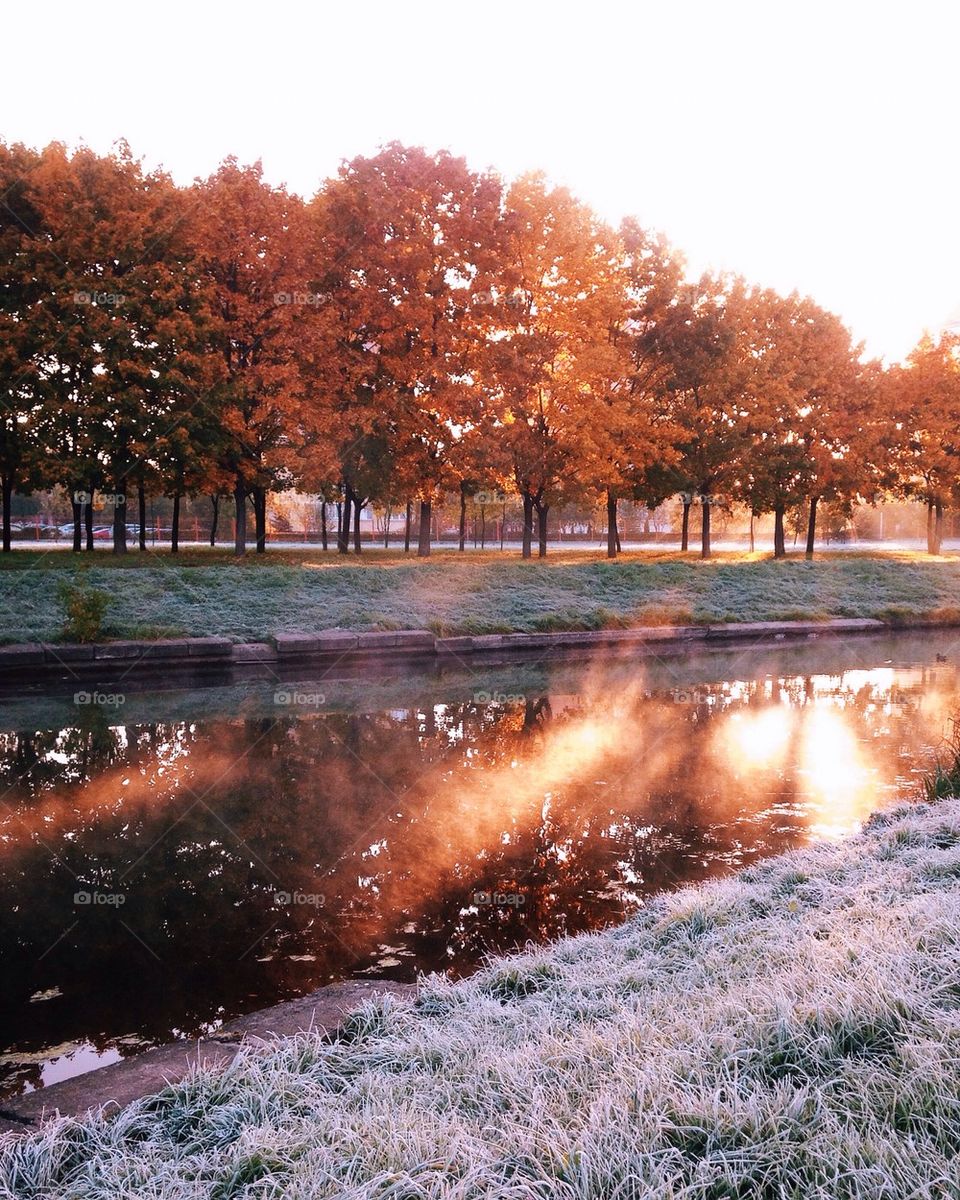 Morning view of river