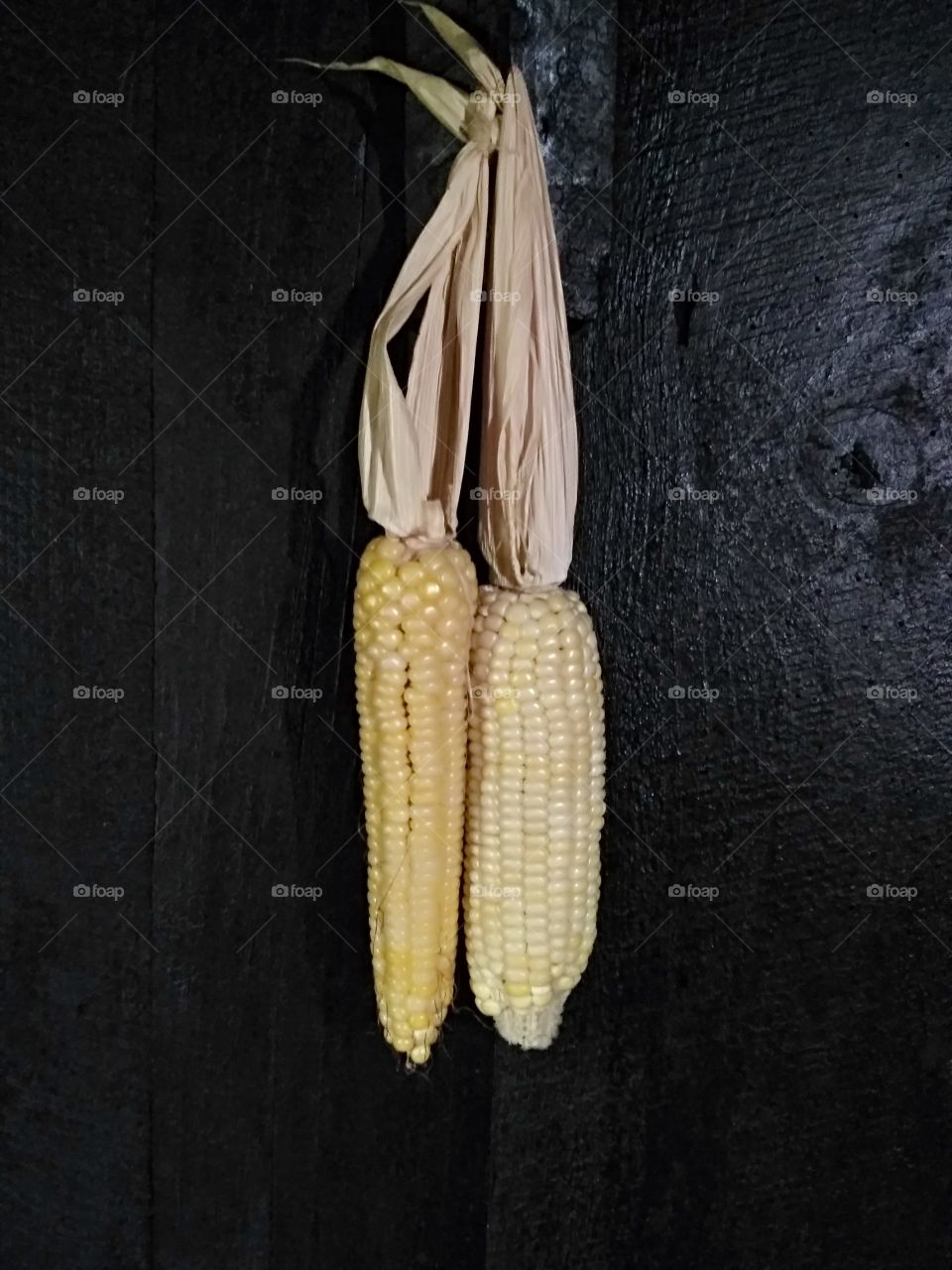 Corn