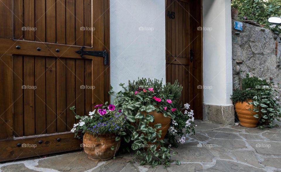 Potted plants on the ground and wooden doors