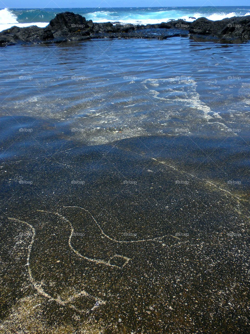 indigenous inscriptions