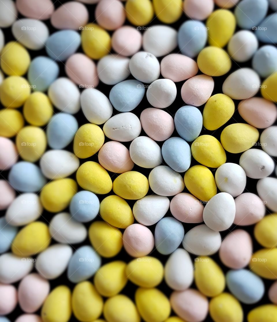 Which came 1st? The Chocolate or the Egg?