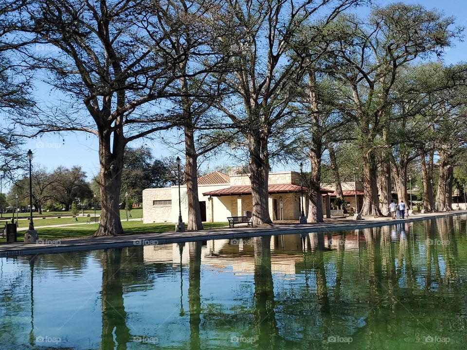 Tranquility by an all natural Spring fed pool at local city park surrounded by mature tall cypress trees.