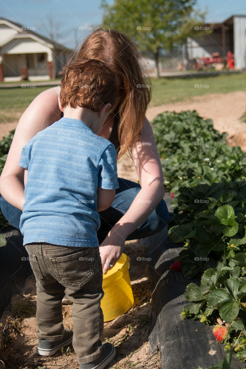 Mother and son picking fruit 