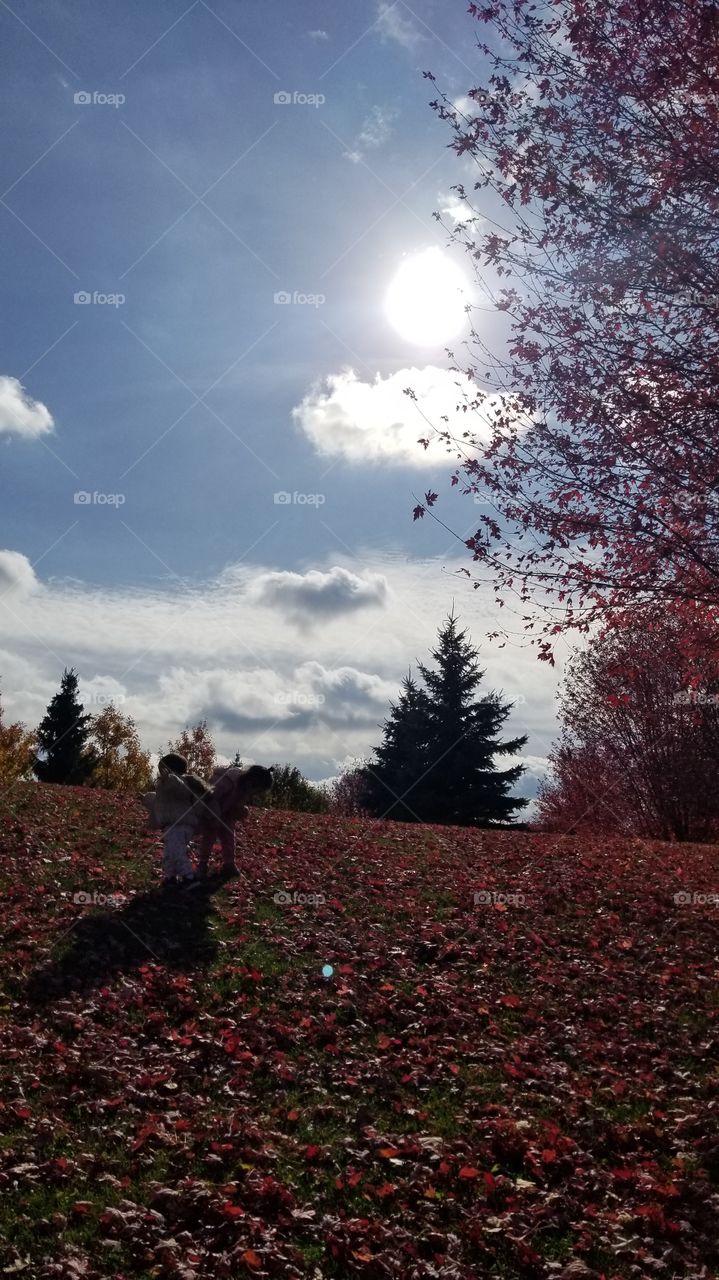 fun with fall leaves
