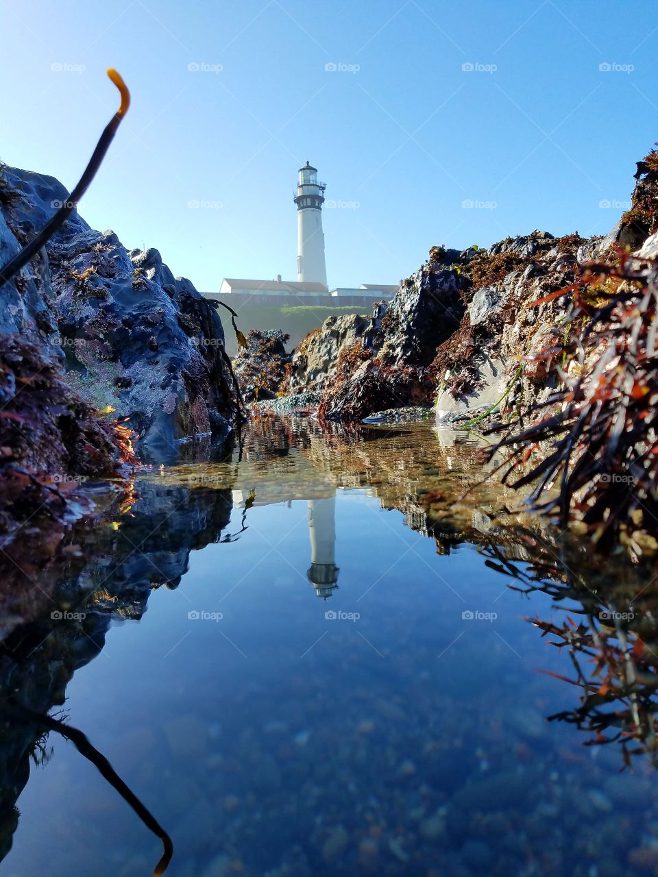 Pigeon Point Lighthouse