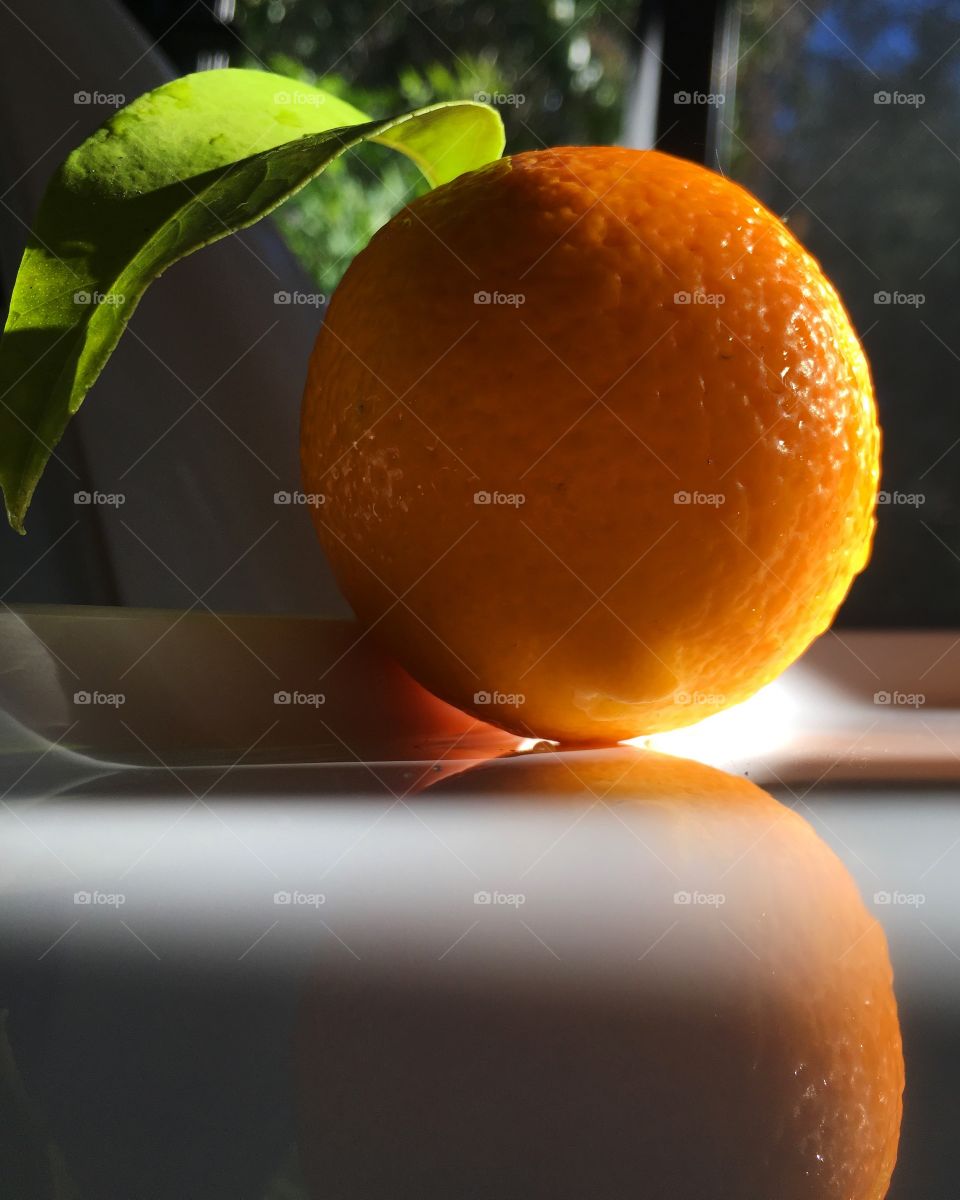 Orange Reflection