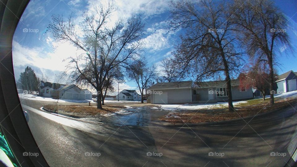 Tree, Landscape, No Person, Water, Flood