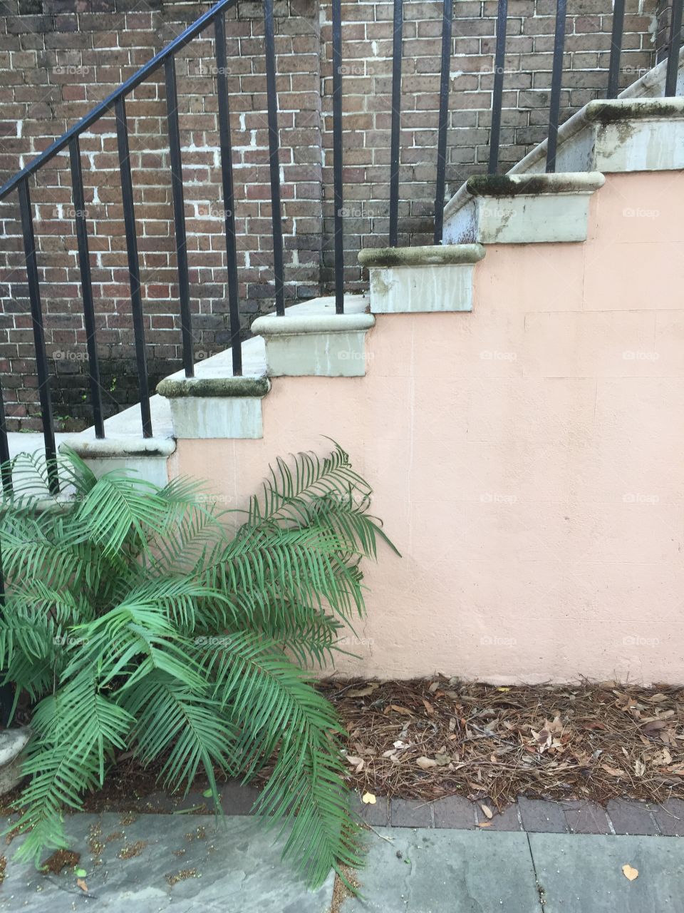 Stairs: College of Charleston, South Carolina