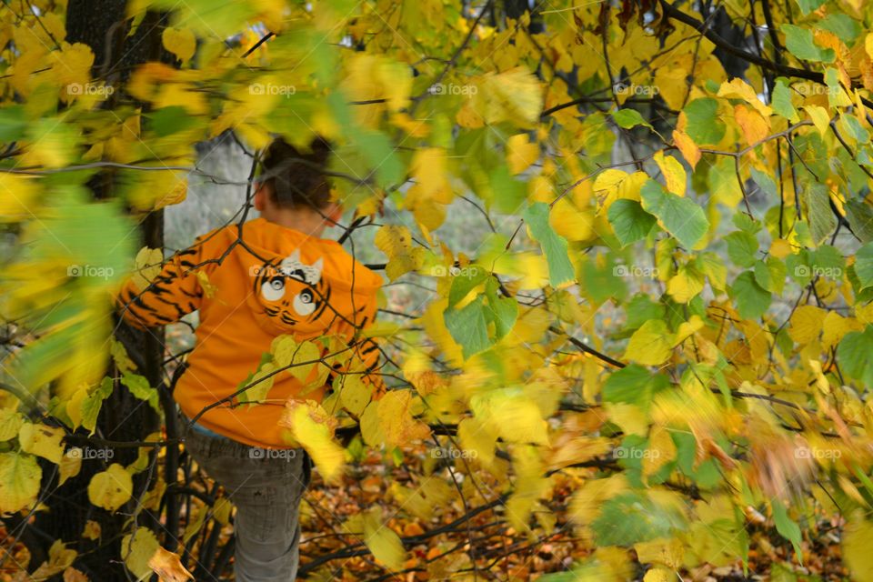 child in fall