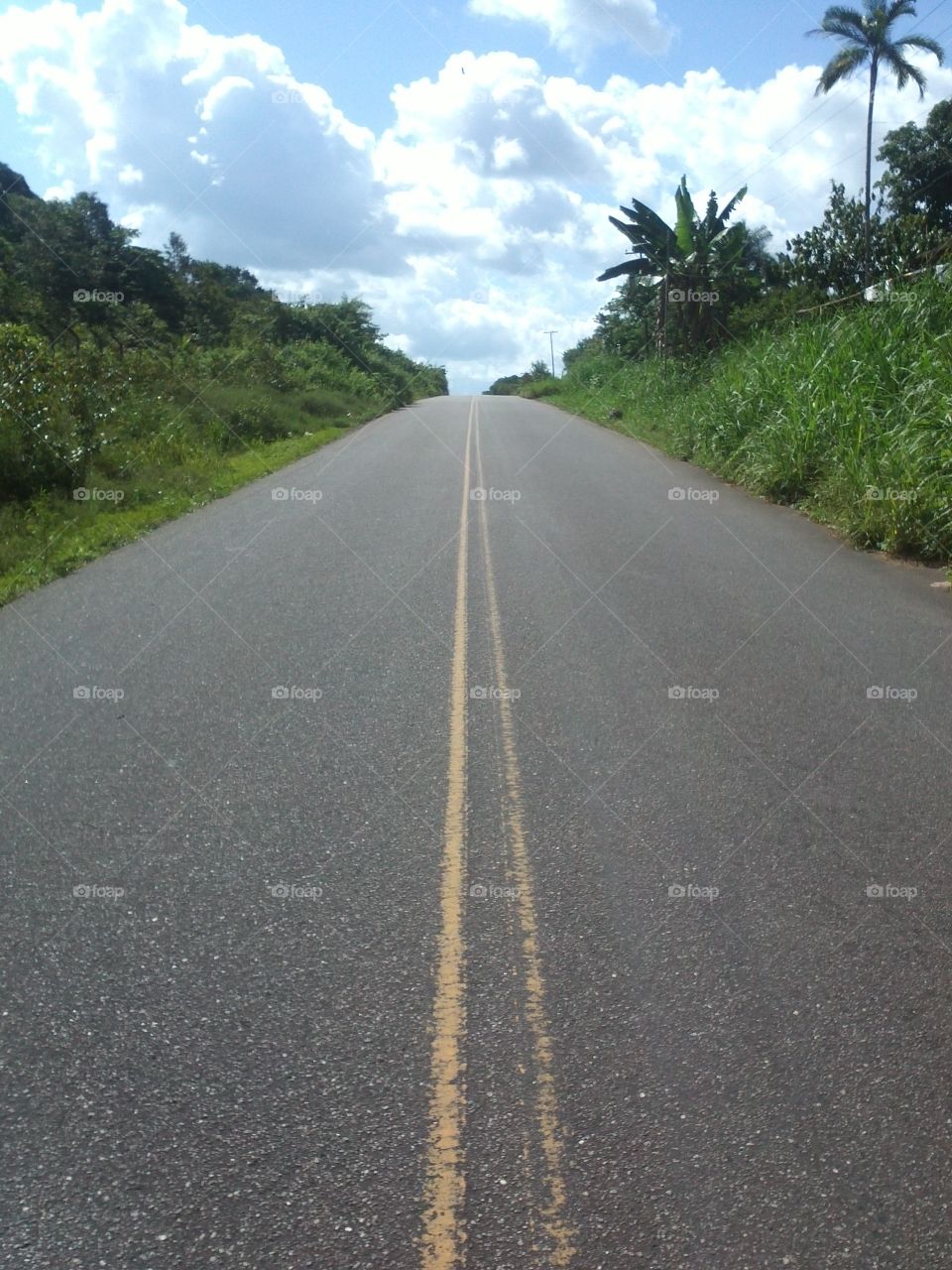 Road. longe road