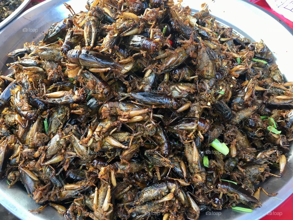Fried Crickets, Cambodia
