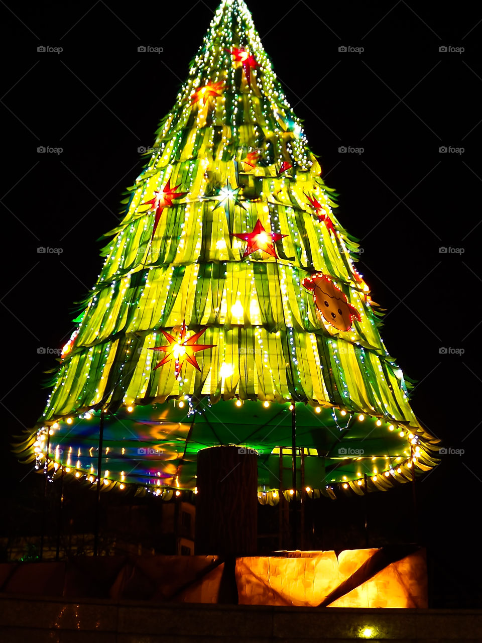 christmas tree. christmas tree it night