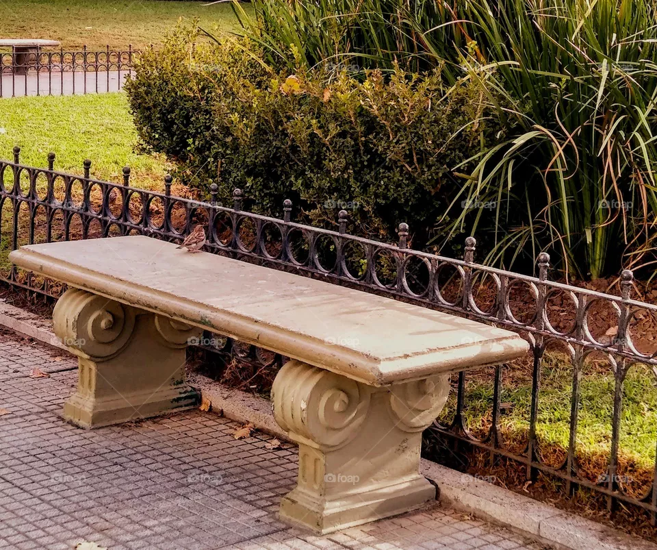 Plaza