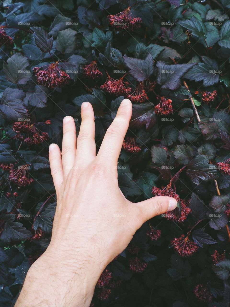 man's hand on a background of beautiful flowers