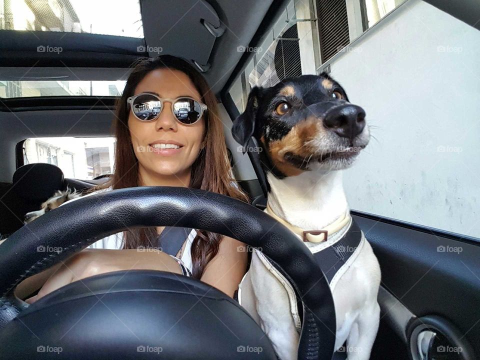 Proud jack russell with mom