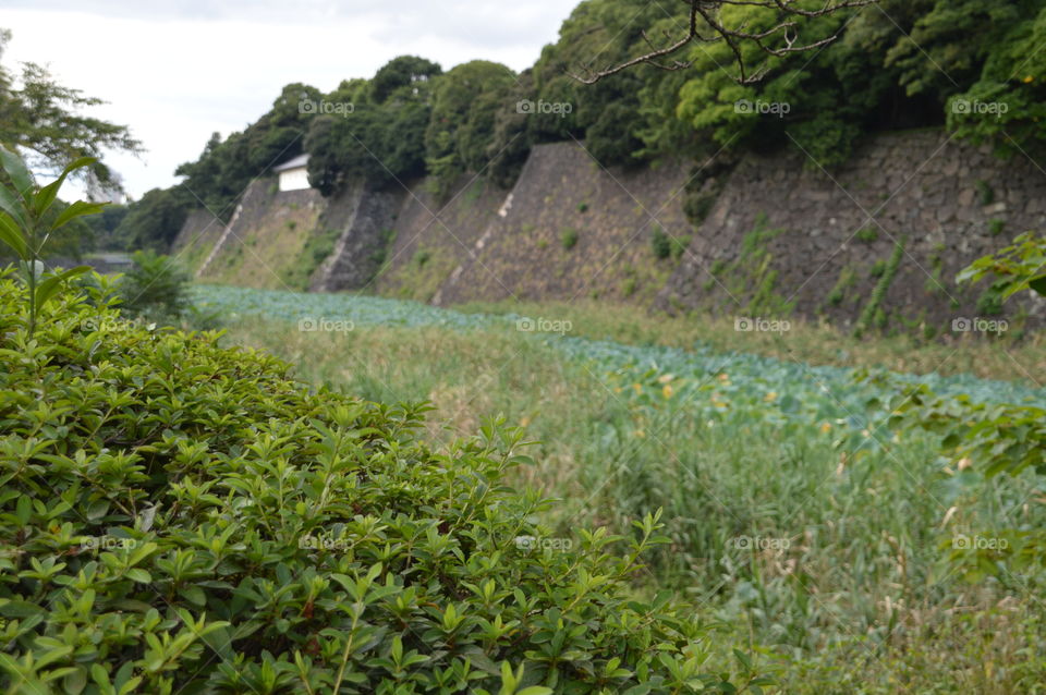 Japanese Castle Wall
