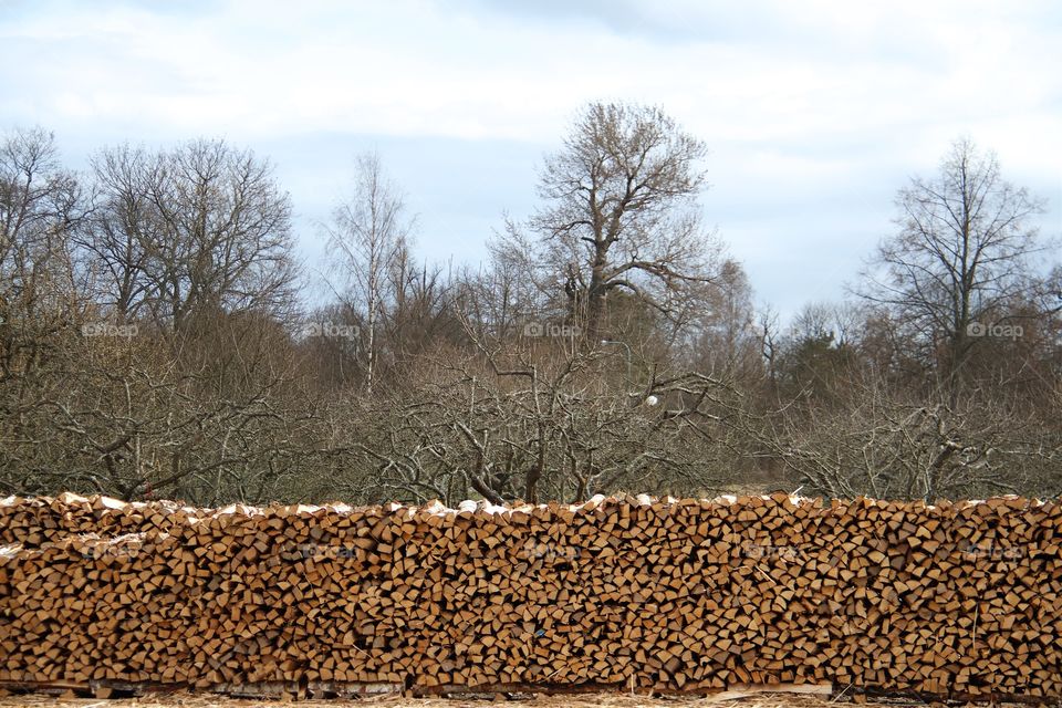 Firewood on drying 