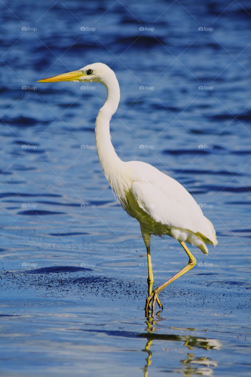 taking it one step at a time 