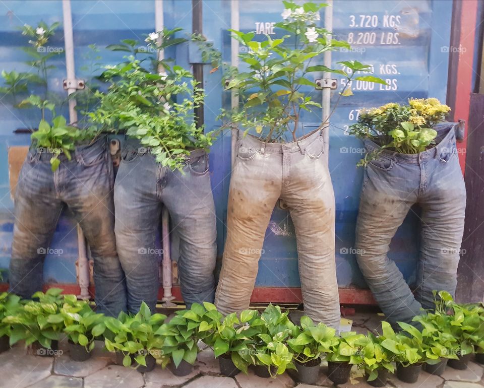planted in jeans, garden, creative, recycled.