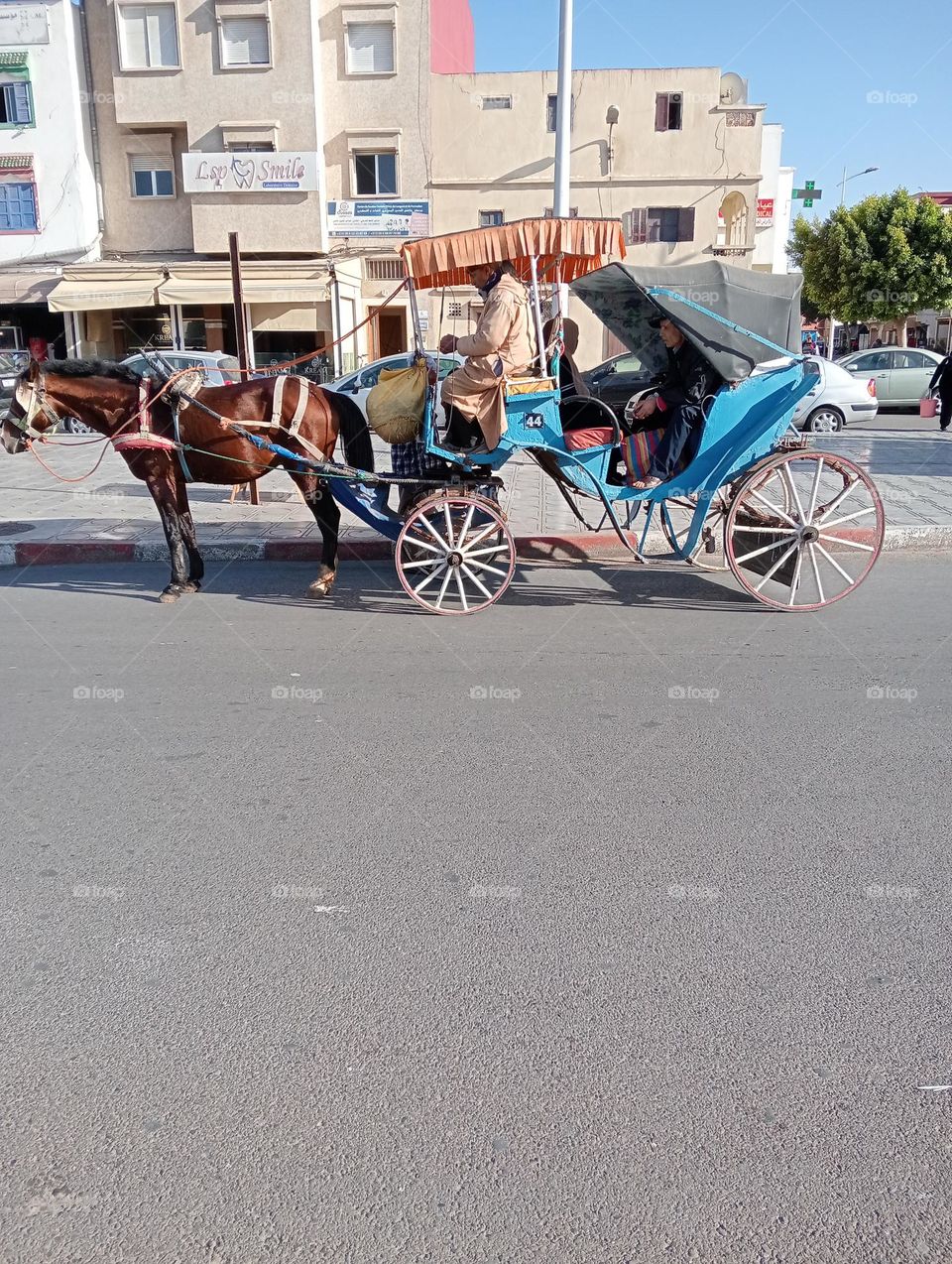 Horse-drawn carriage
