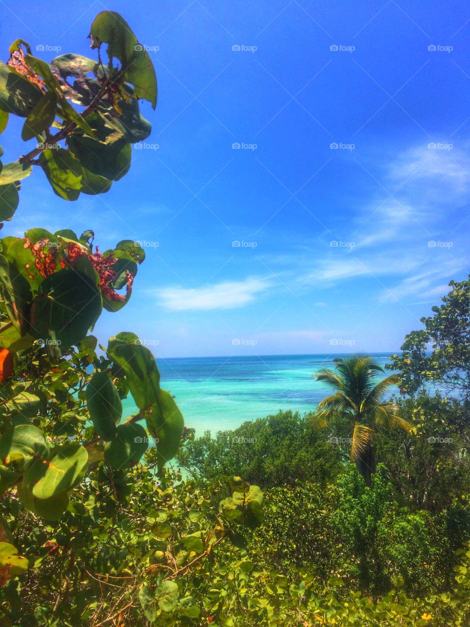 Bahia Honda. Beach, Florida, vacation, sunshine,