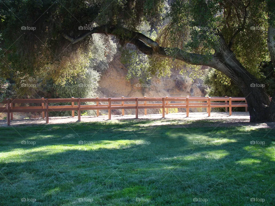 Park