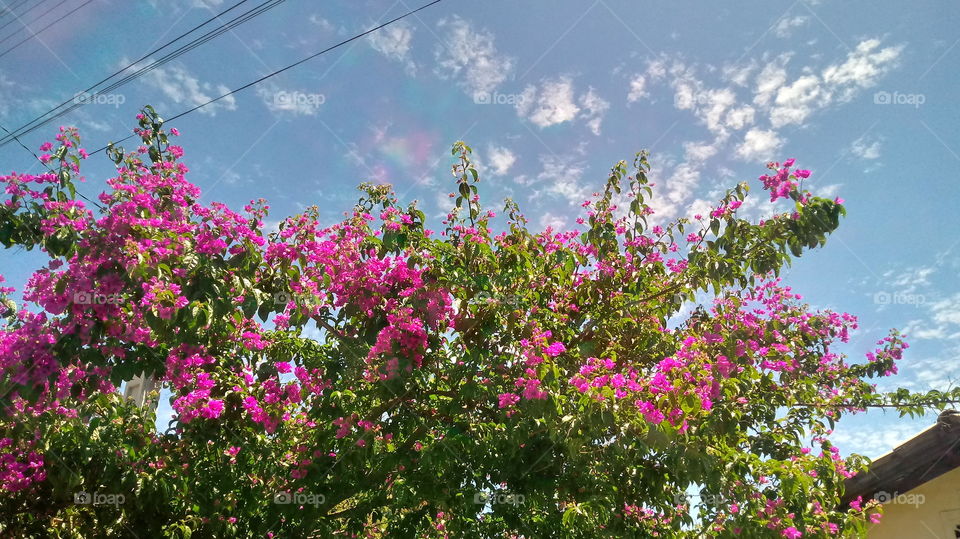 #Foap_love #traveling #photooftheday #travelphotography #wanderlust #followPost #explore #likeforlikes #adventure #picoftheday  #wandern #Lifestyle #followme #shooting
#kunst #natürliches_Licht