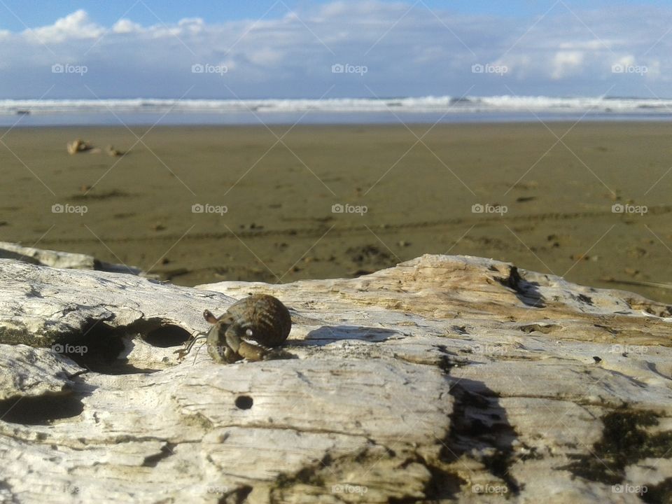 Summer on the beach.