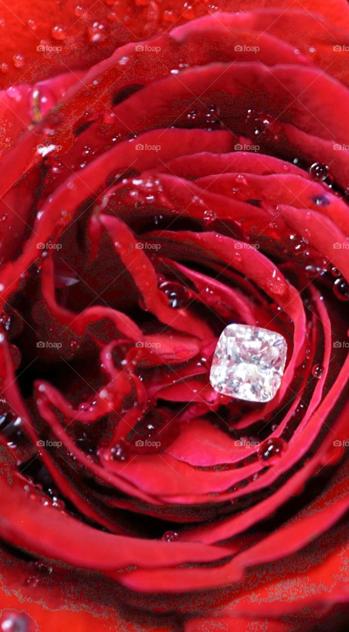 Rose Diamond