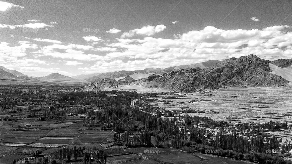 Dualism keeps increasing with time...like half the forest has been burned while the other wing remains fertile...metaphors on sacrifice...it needs to disappear...letting go and such associations of real strength...whatever right...?