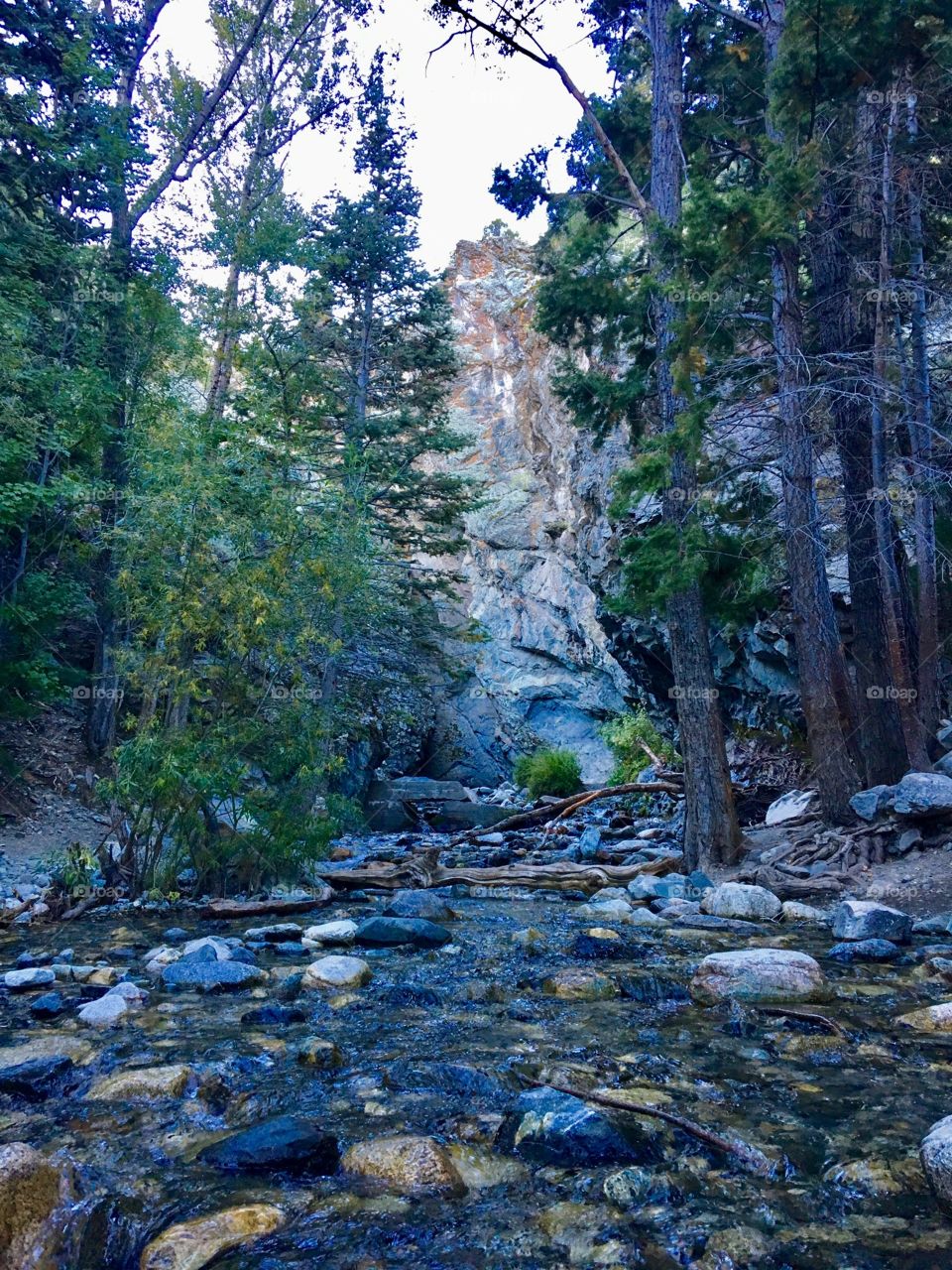 Stream in the brisk Colorado morning.