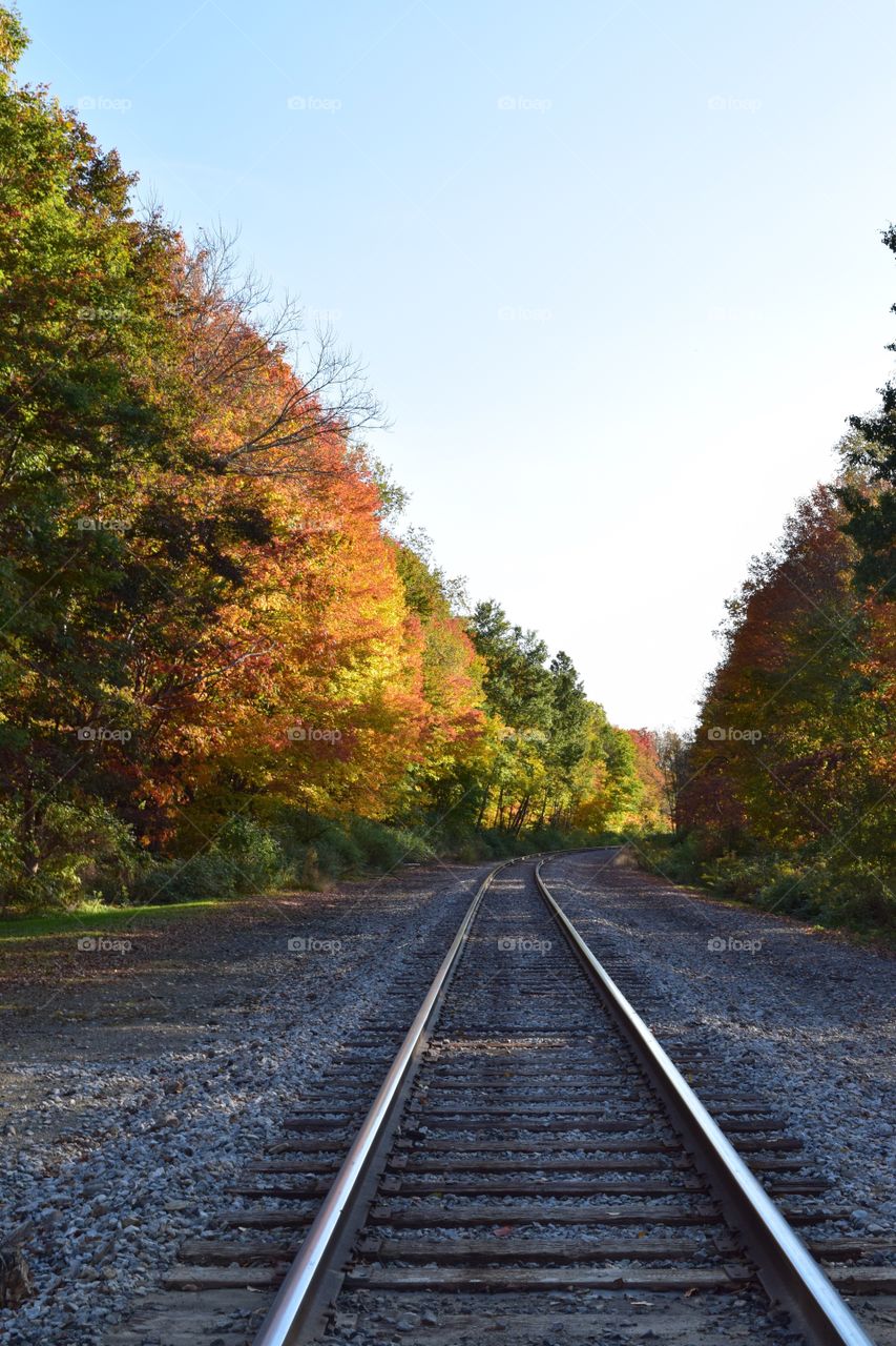 A look at the train tracks from my point of view in early Autumn.