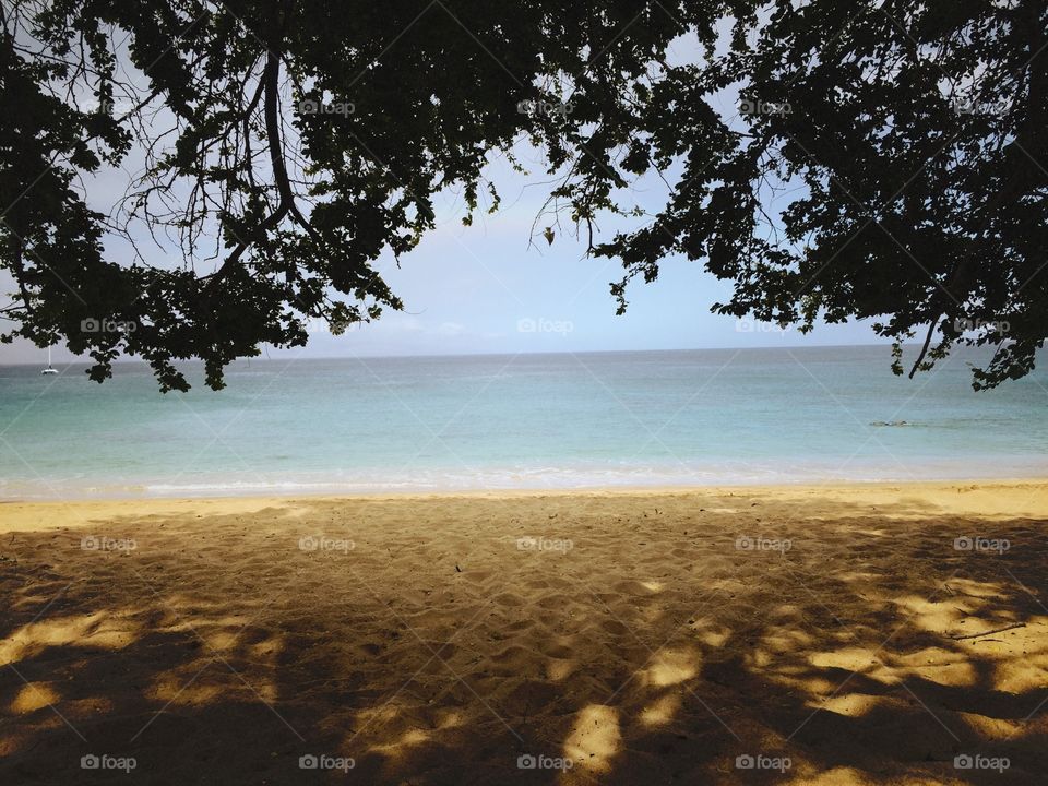 Under a tree canopy on a beach somewhere in Maui.