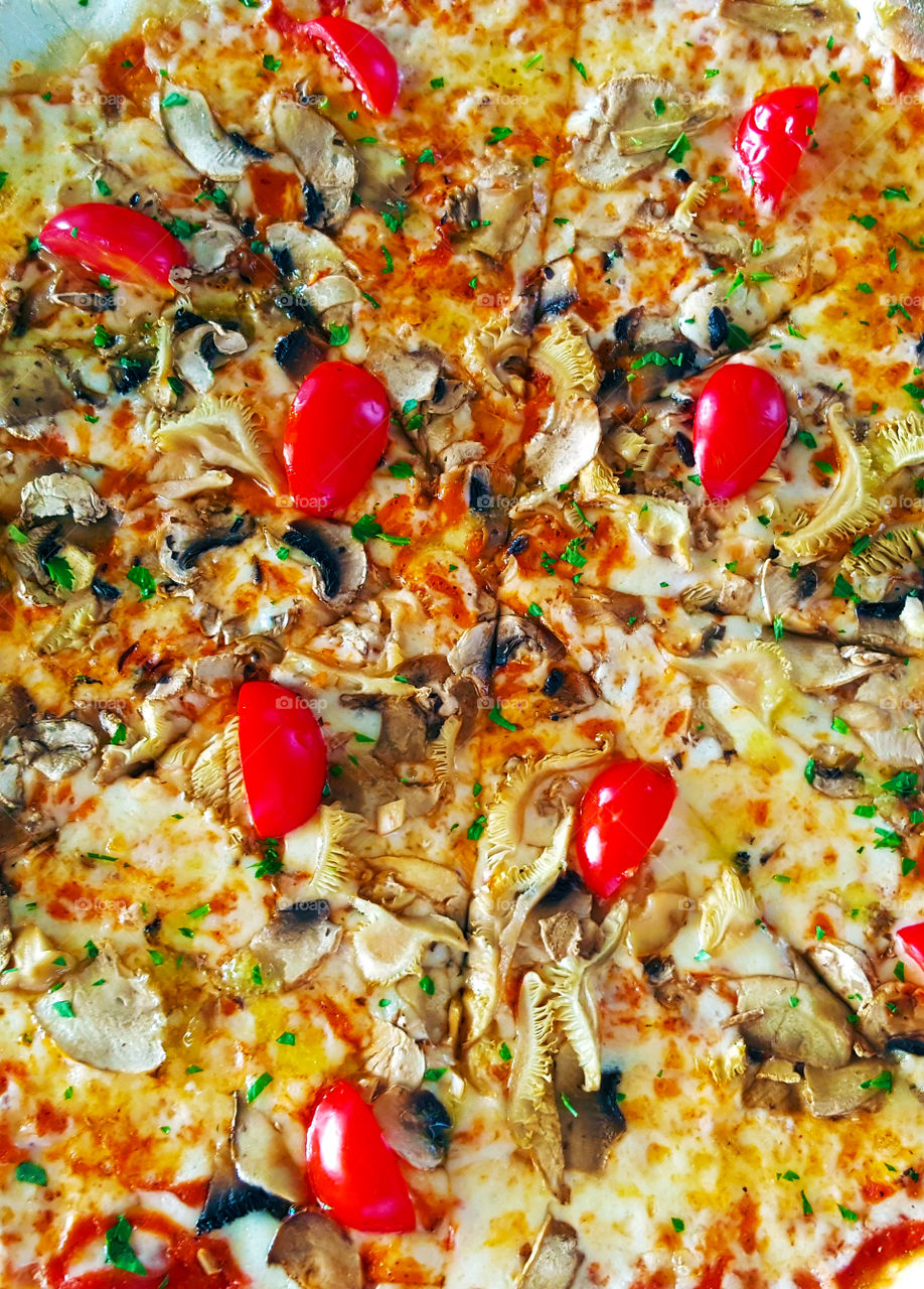 Italian pizza slices. with tomato, mushrooms and mozzarella cheese.