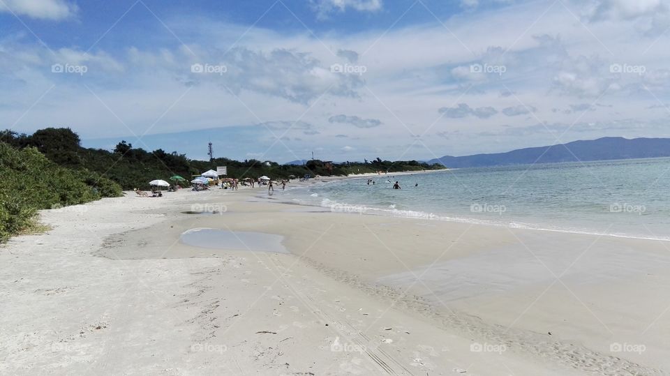 Brazil beach . Florianopolis 