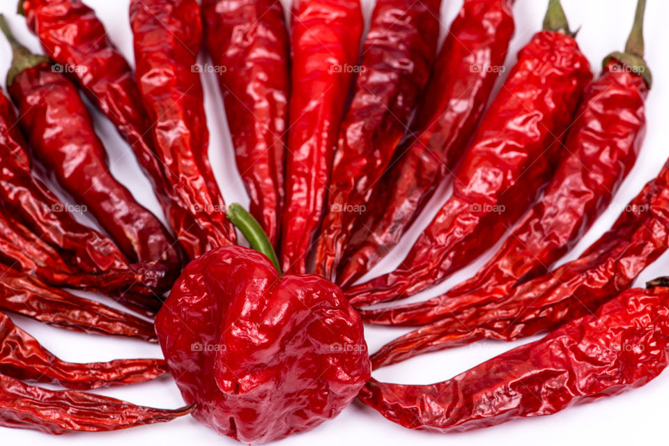 Red chilli peppers on white background